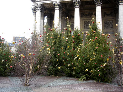 フランス パリ クリスマスツリー