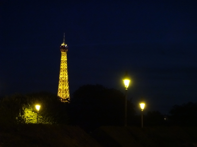 フランス パリ 革命記念日 パリ祭 の花火