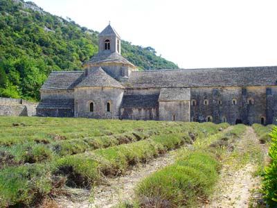 南仏 セナンク修道院