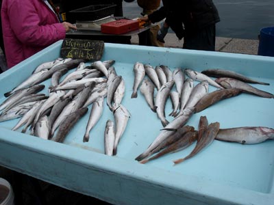 マルセイユの魚市